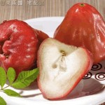 Manzana de Java