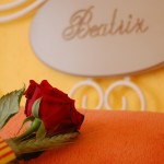 Sant Jordi