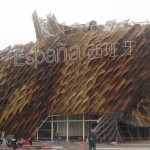 Expo Shanghai 2010